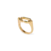 Anillo C Link