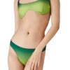 Braguita de bikini degradada