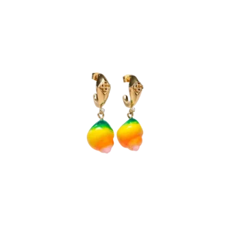 Pendientes de concha